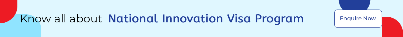 National Innovation Visa